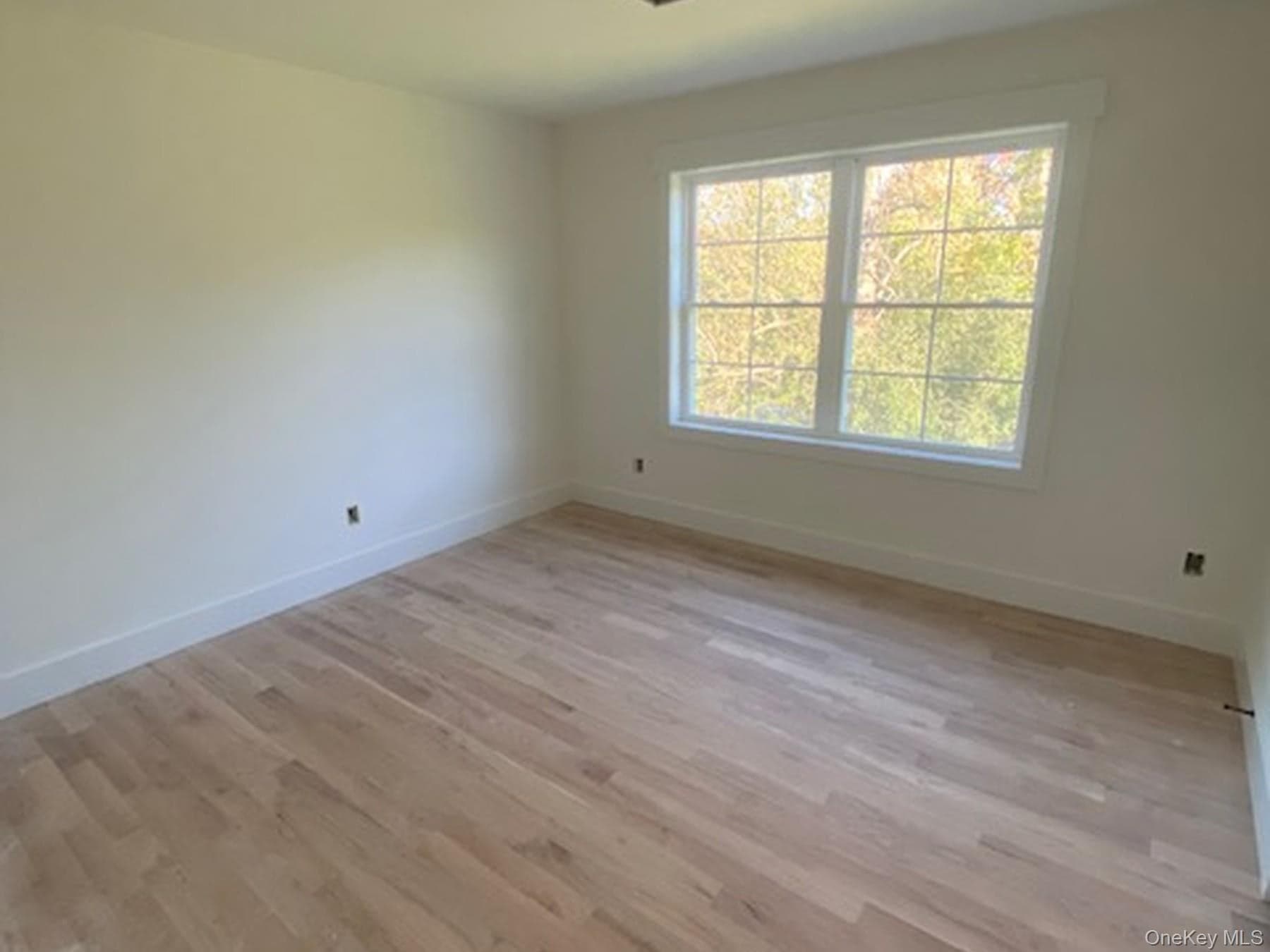 175 Mulford Road thumbnail 8
