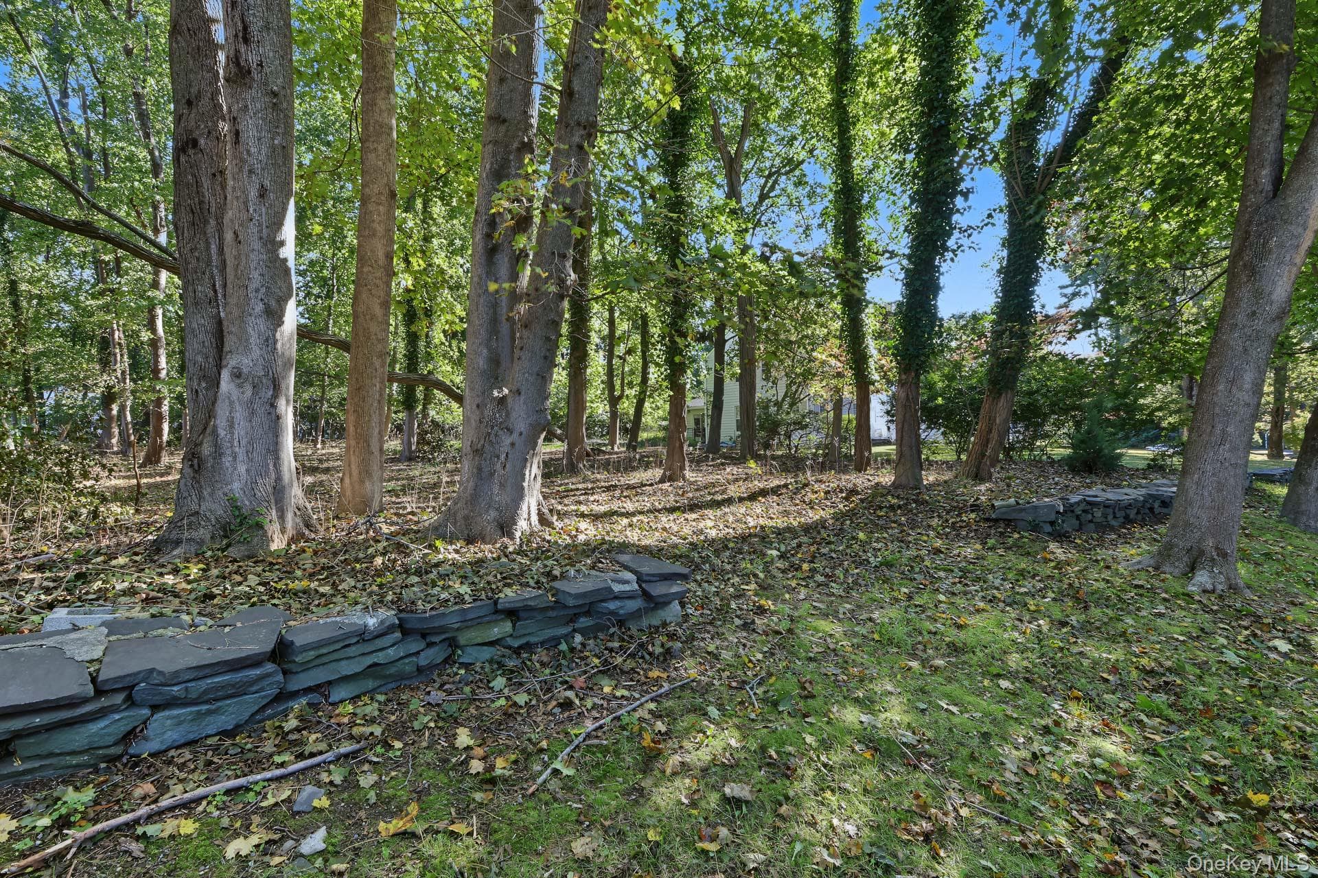 2 Three Pond Road thumbnail 31