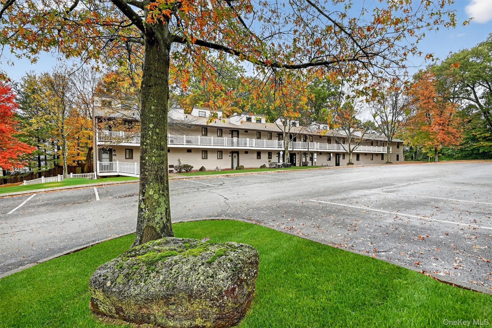 41 Berwynn Road Unit: 2D thumbnail 4