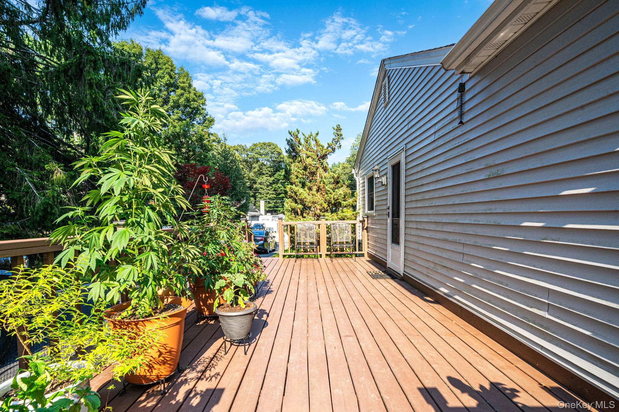 24 Oakcrest Avenue thumbnail 21