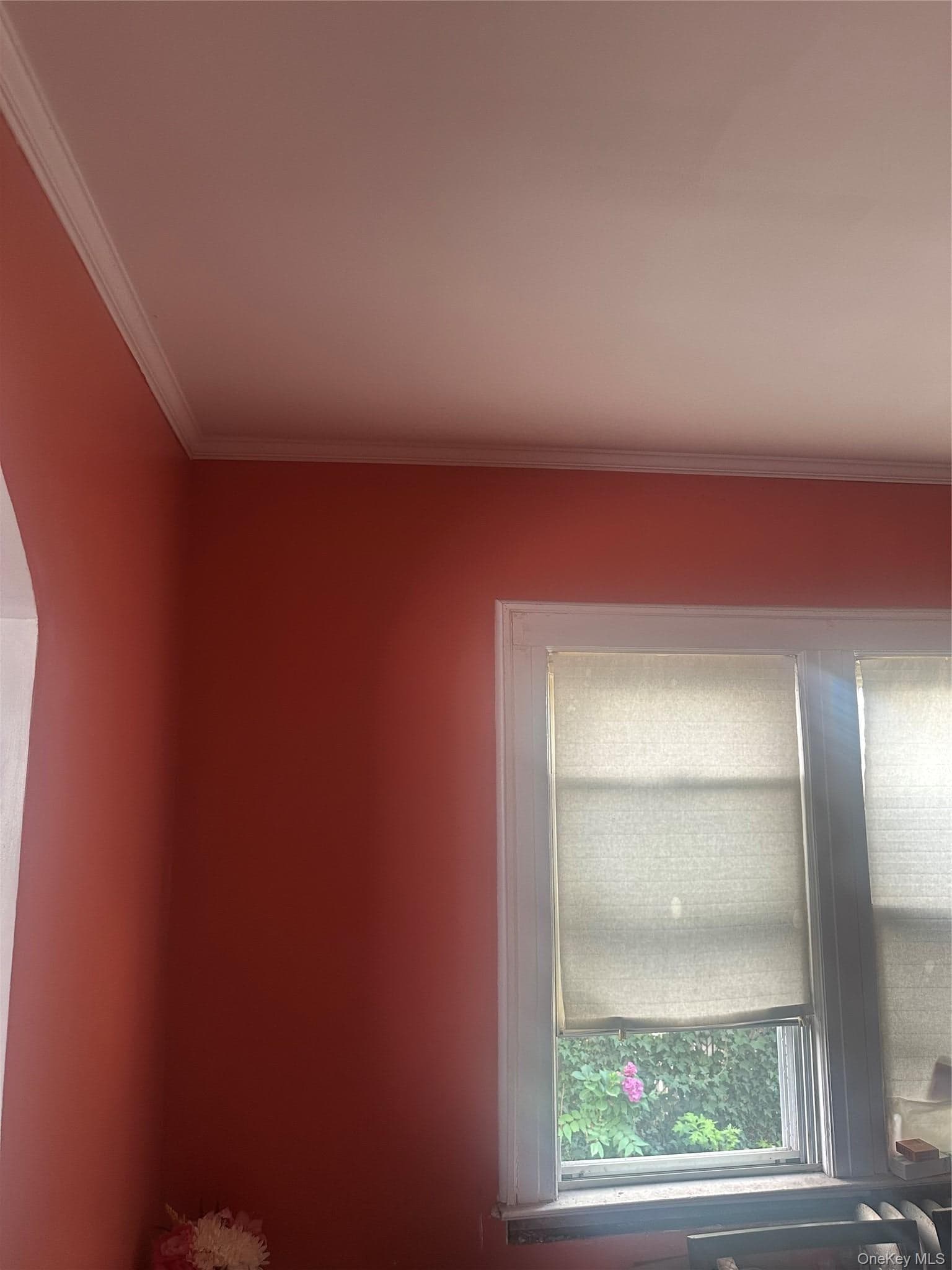10742 Robard Lane thumbnail 7