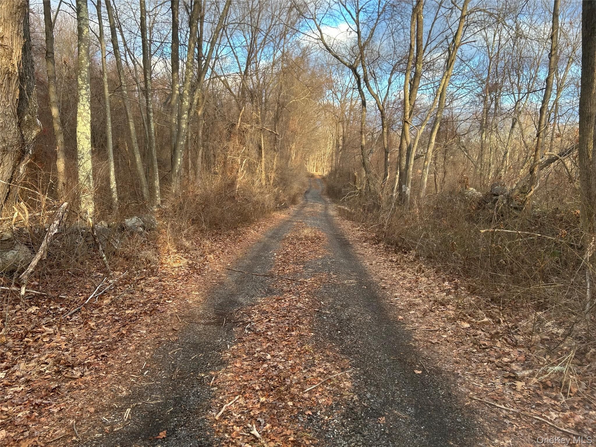 100 Ten Acre Lane (barret) Ln thumbnail 3