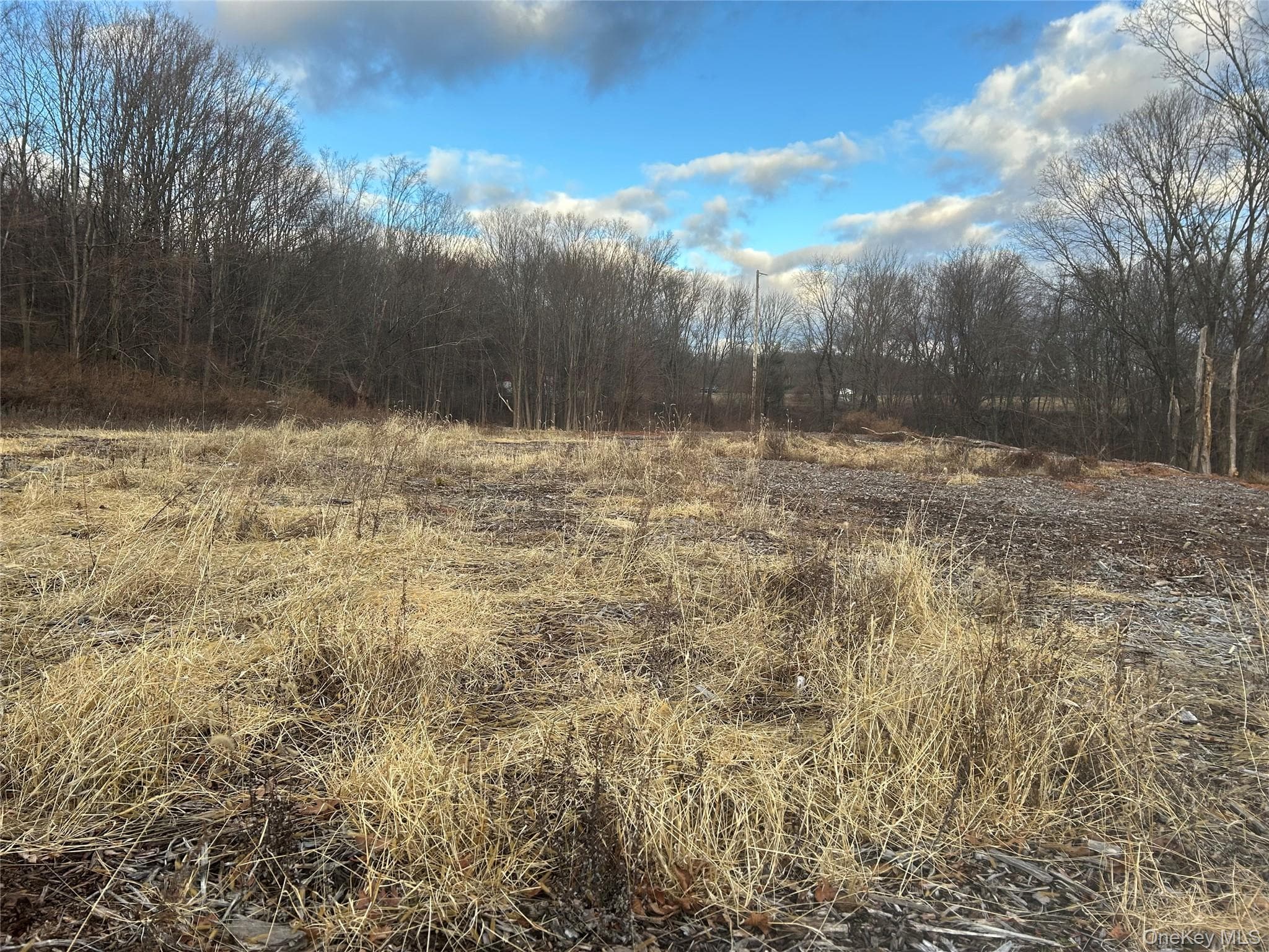 100 Ten Acre Lane (barret) Ln photo 1