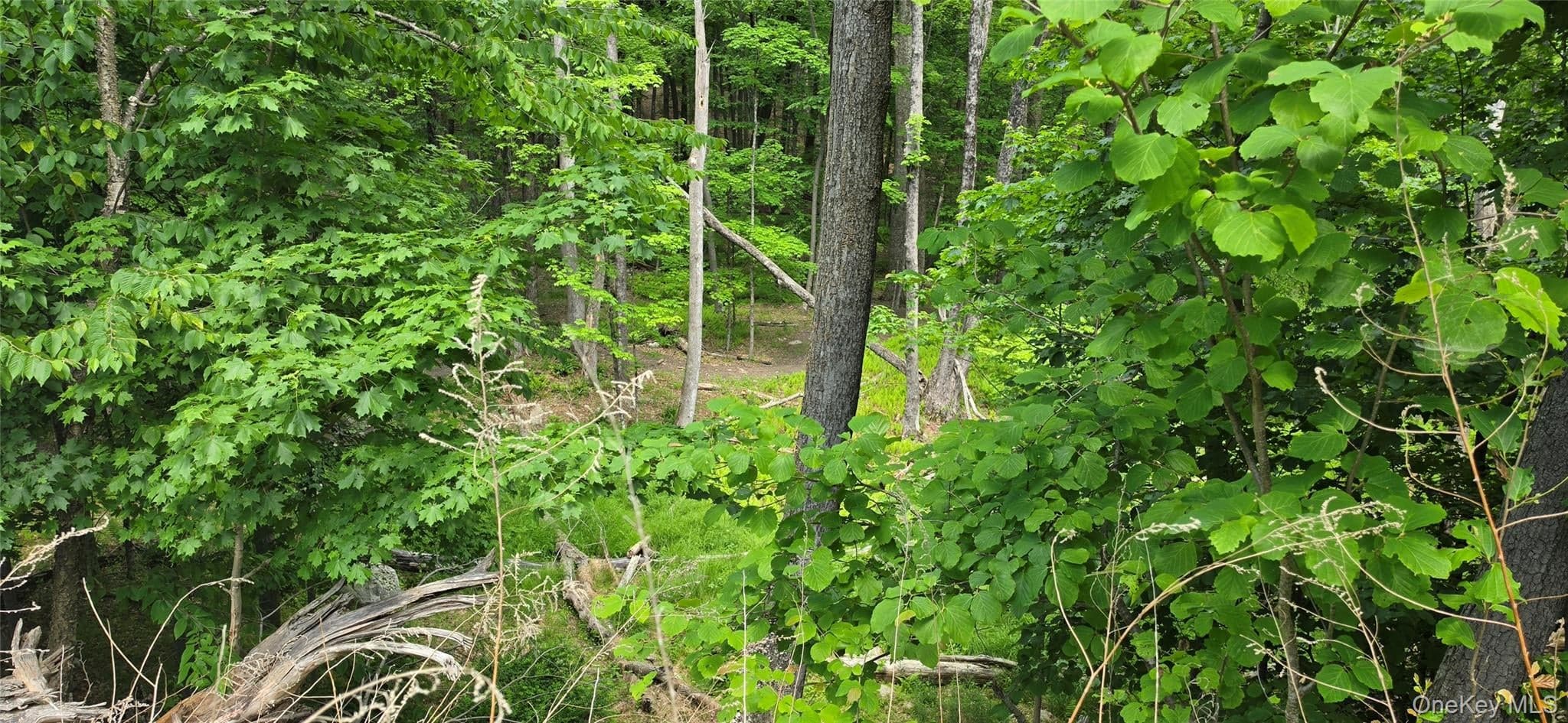 Address Withheld By Request thumbnail 12