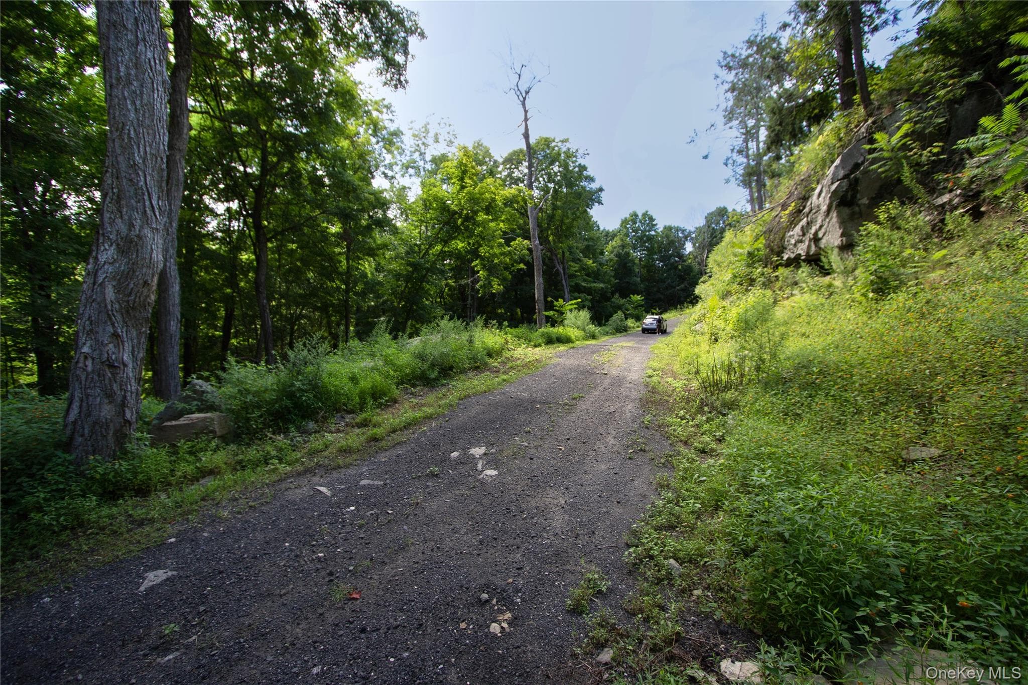 229 Mount Zion Road thumbnail 8