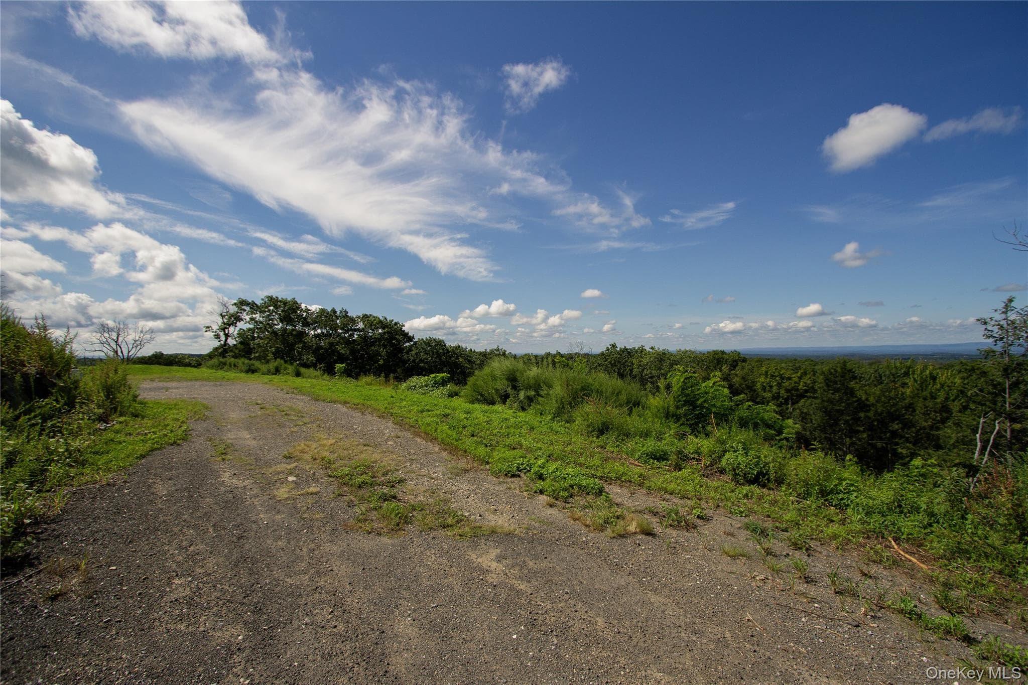 229 Mount Zion Road thumbnail 14