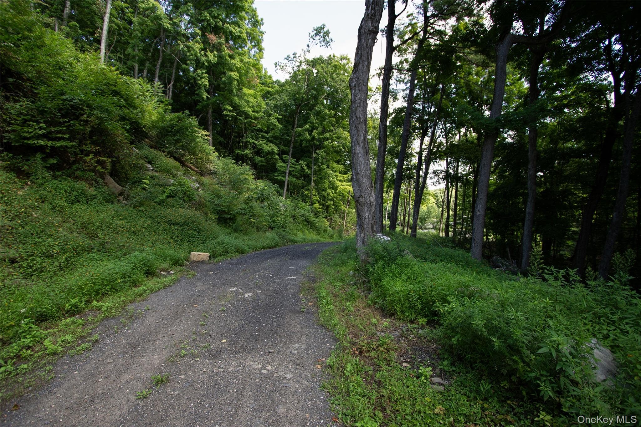229 Mount Zion Road thumbnail 7