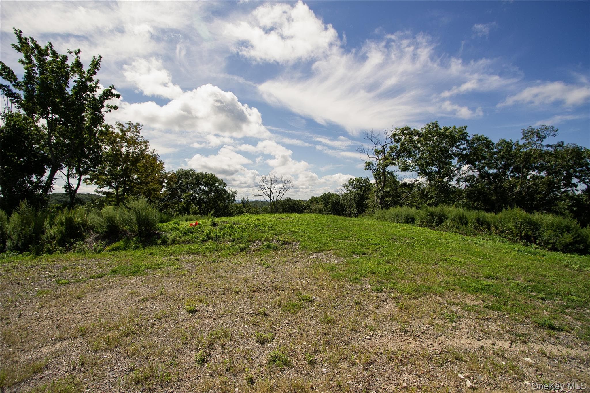 229 Mount Zion Road thumbnail 15