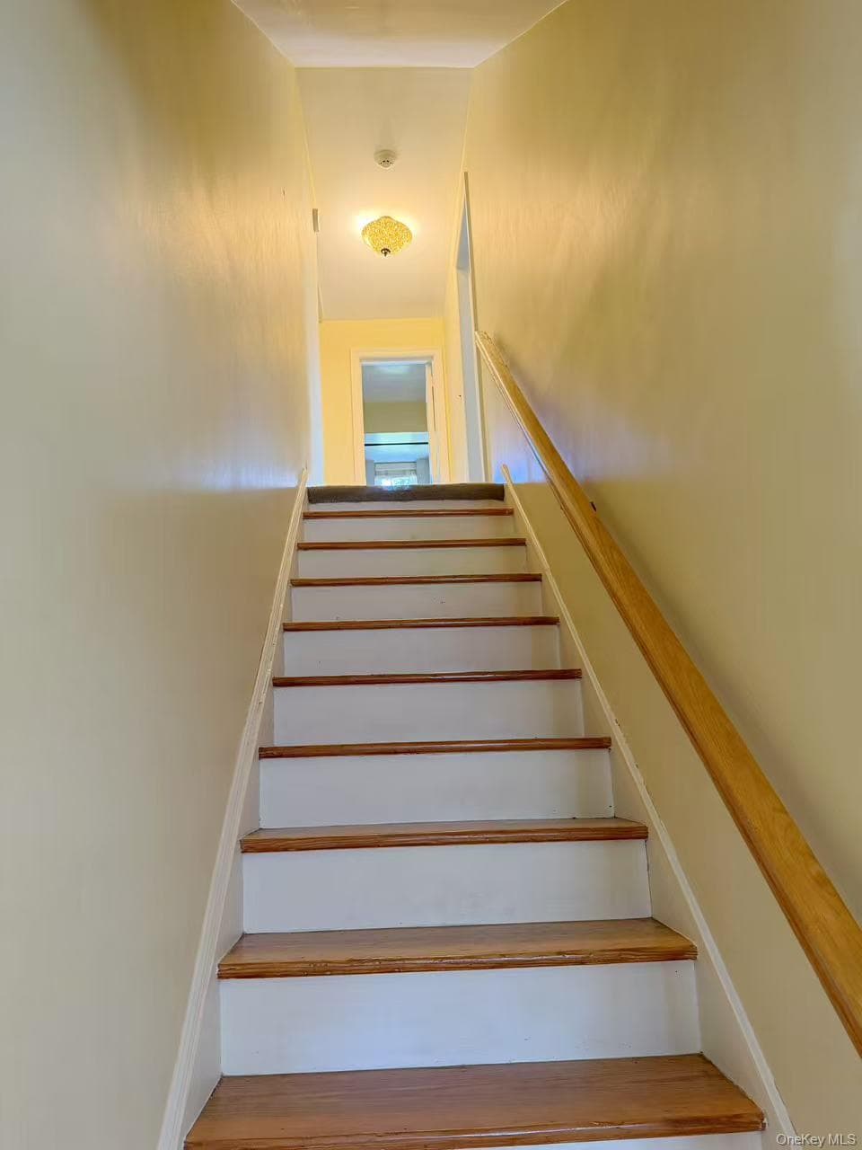68 Woodbine Road thumbnail 4