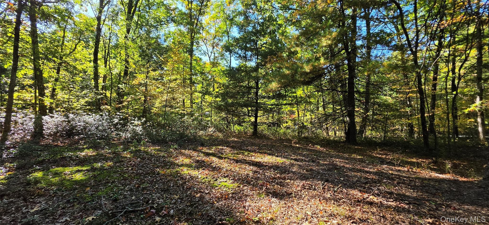 Lot #86 Perry Pond Road thumbnail 2