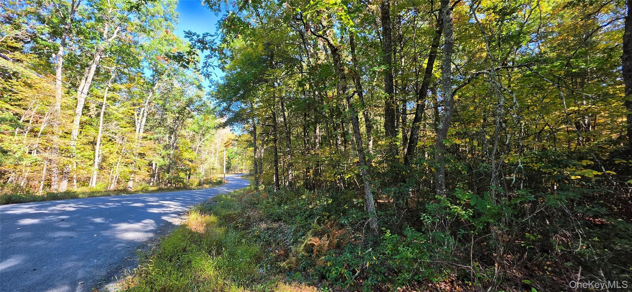 Lot #86 Perry Pond Road thumbnail 3