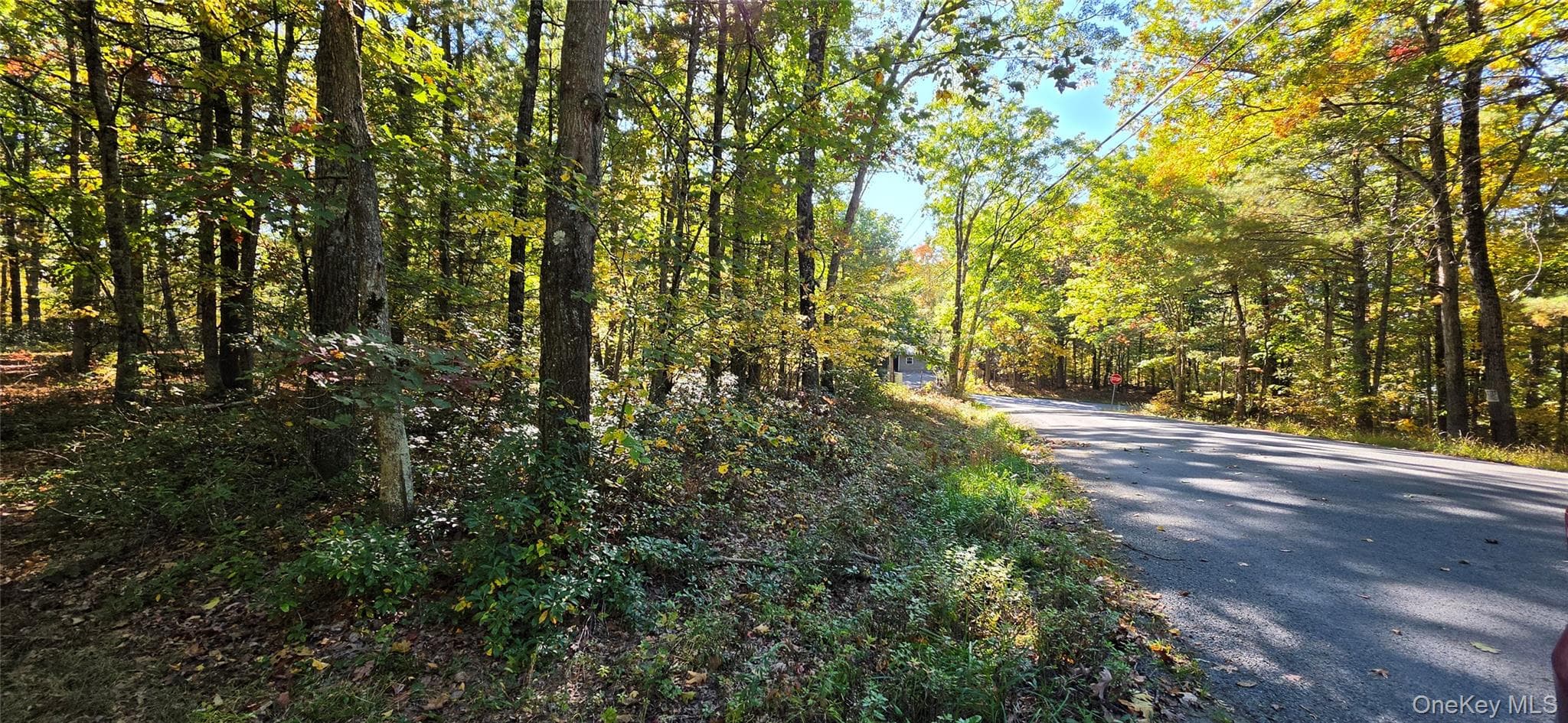Lot #86 Perry Pond Road thumbnail 12