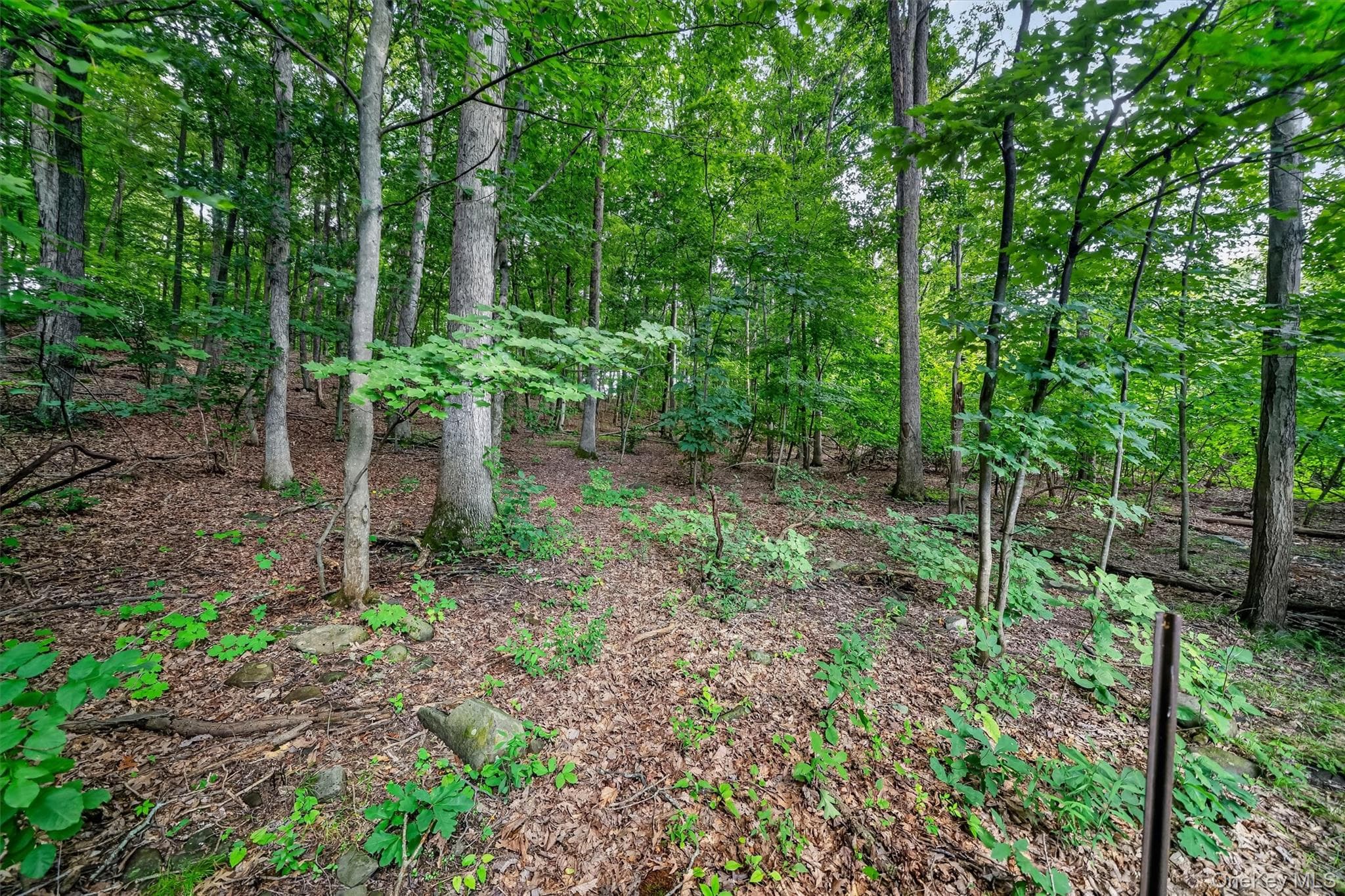 368 Old Dutch Hollow Road thumbnail 35