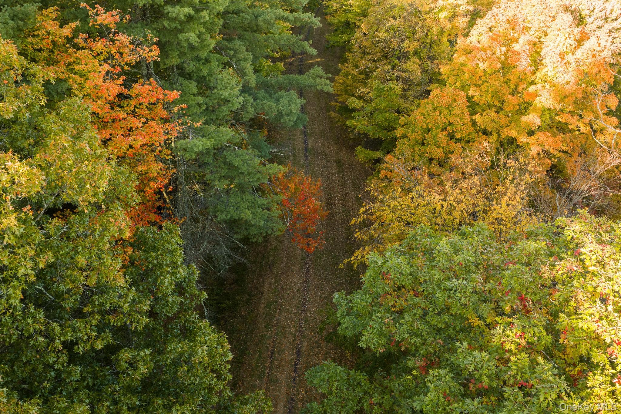 154 Pine Bush Road thumbnail 43