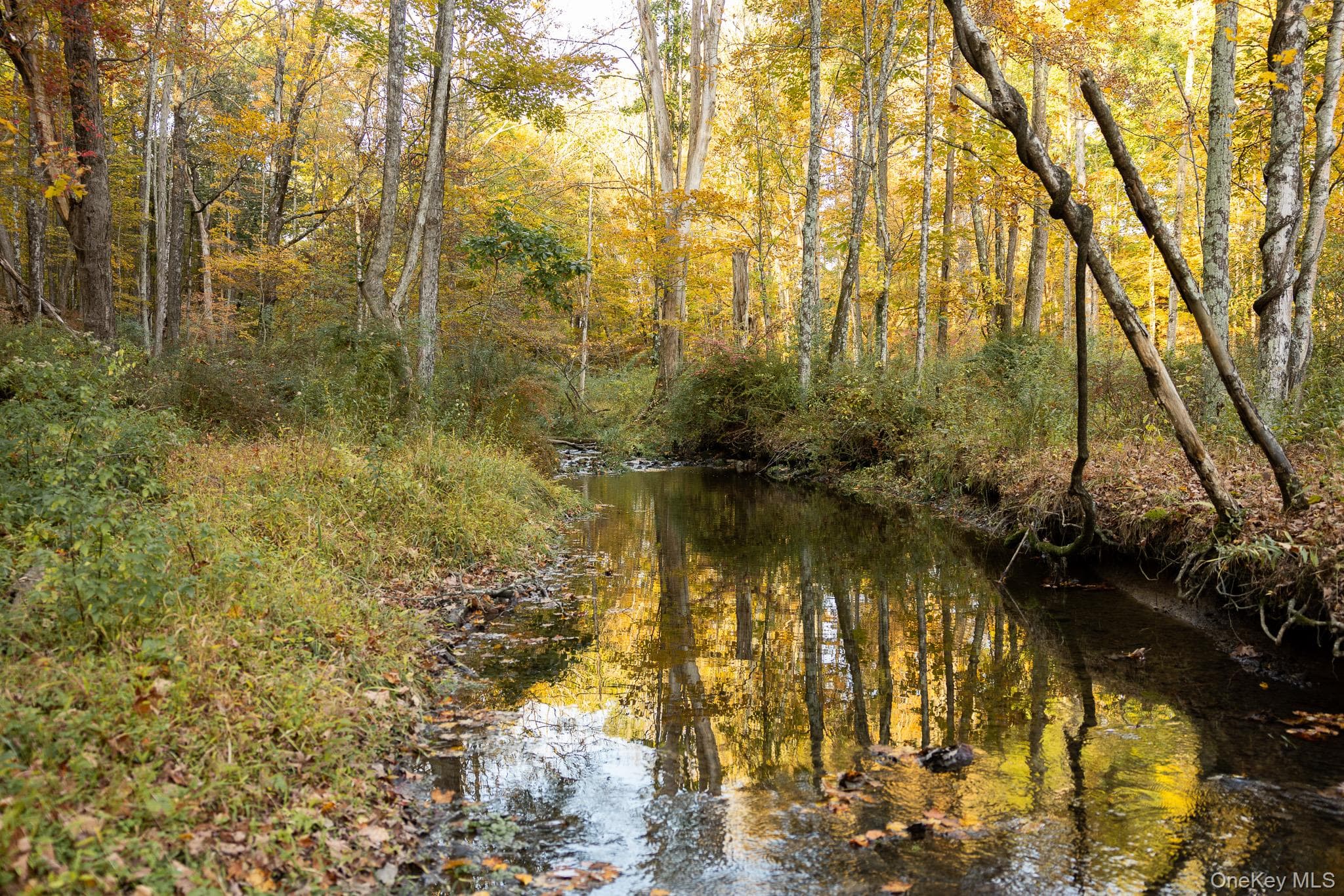 154 Pine Bush Road thumbnail 44