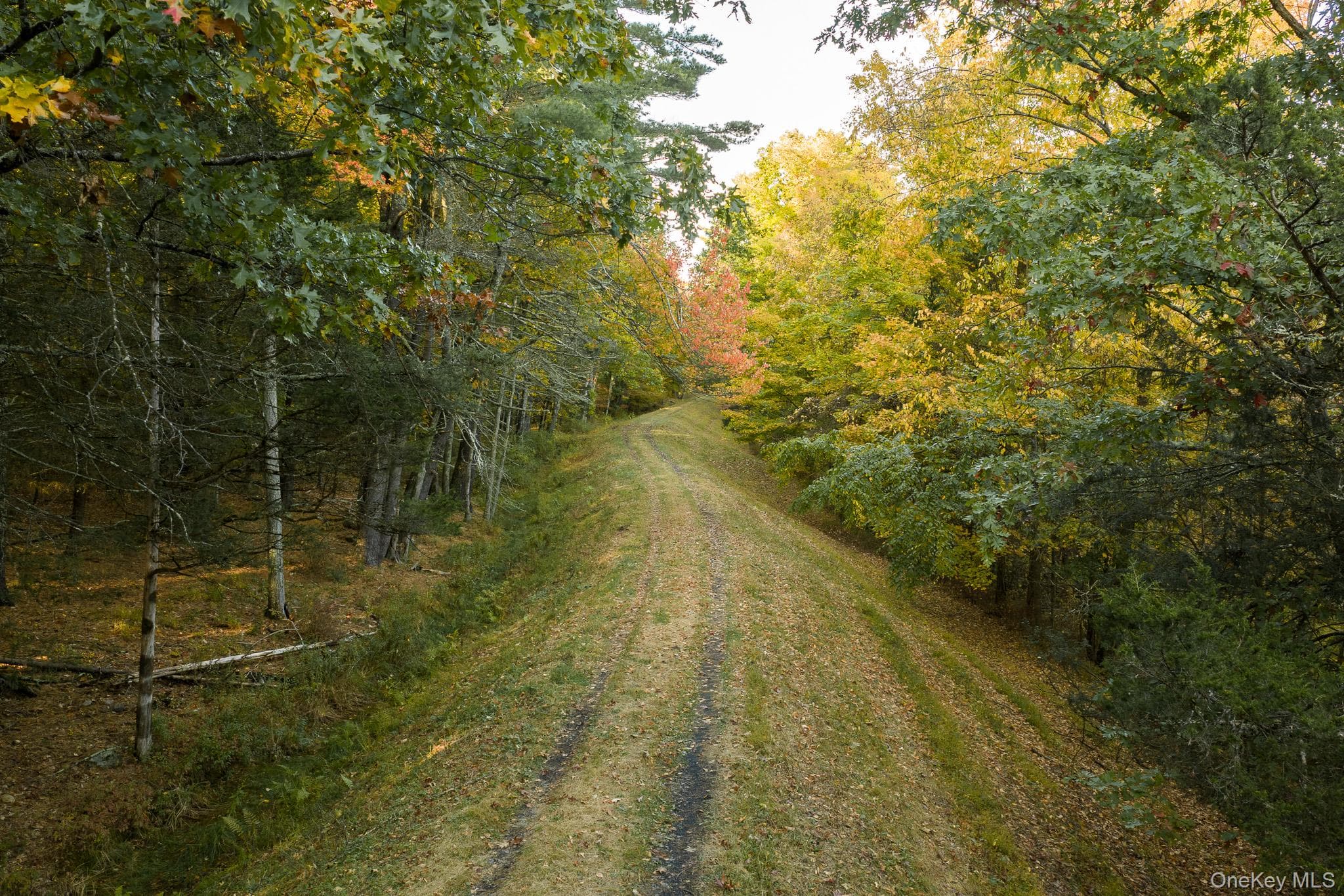 154 Pine Bush Road thumbnail 42