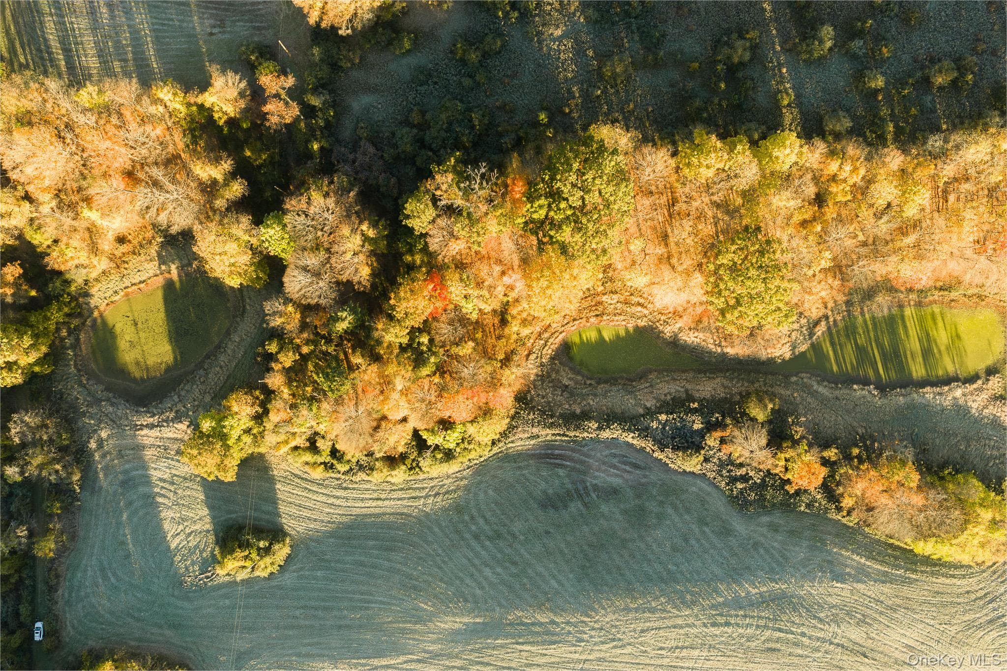 154 Pine Bush Road thumbnail 8