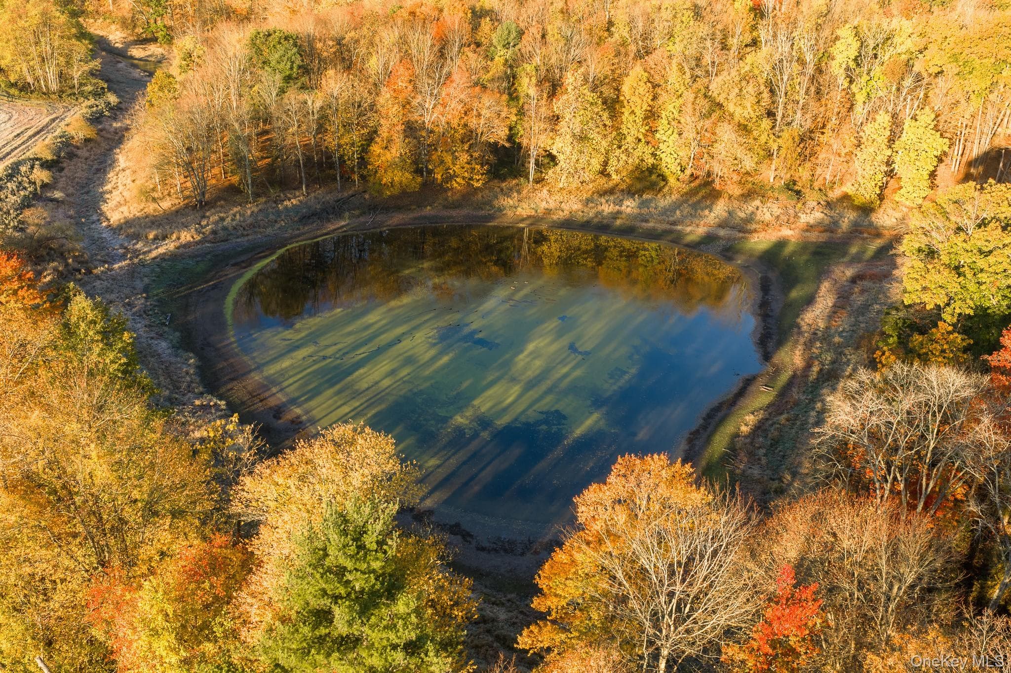 154 Pine Bush Road thumbnail 9