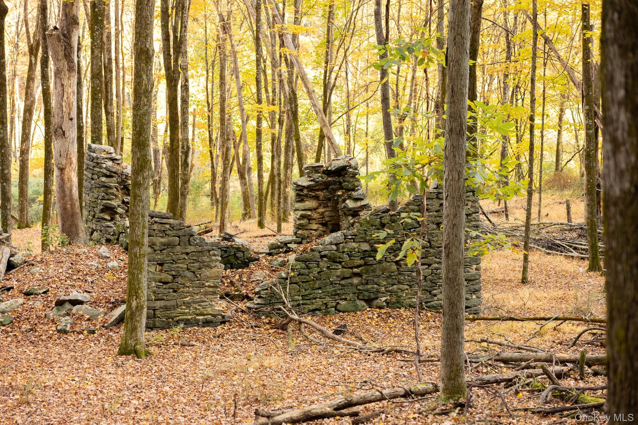 154 Pine Bush Road thumbnail 47