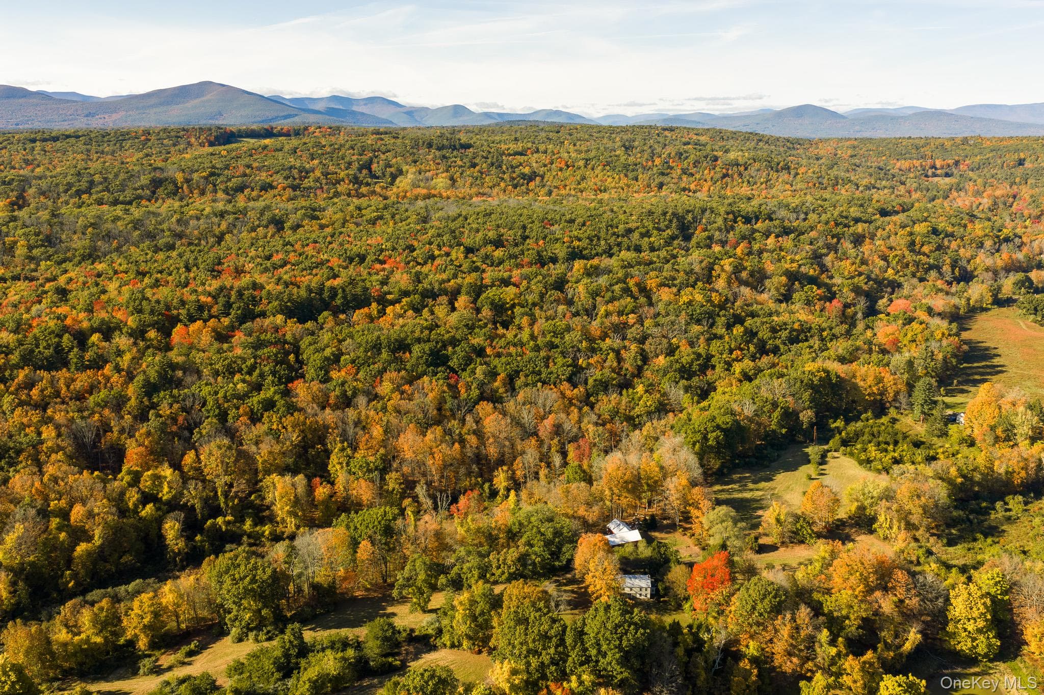 154 Pine Bush Road thumbnail 6