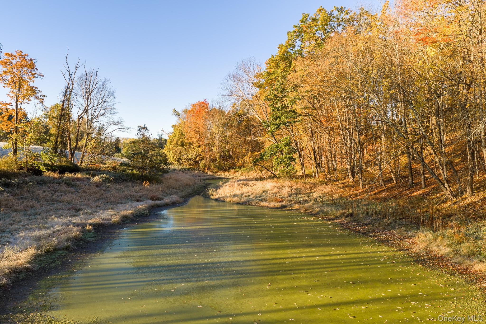154 Pine Bush Road thumbnail 46