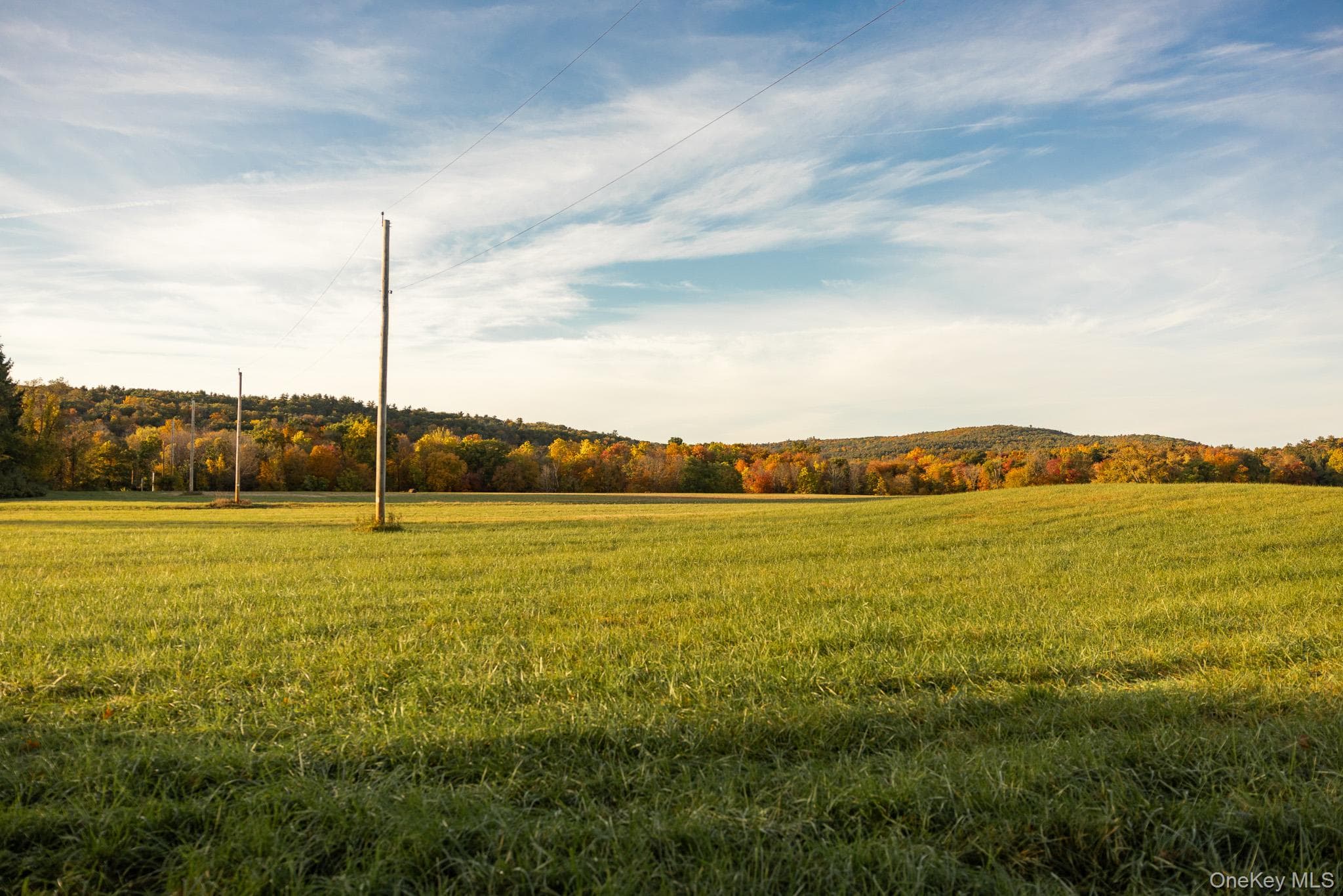 154 Pine Bush Road thumbnail 48