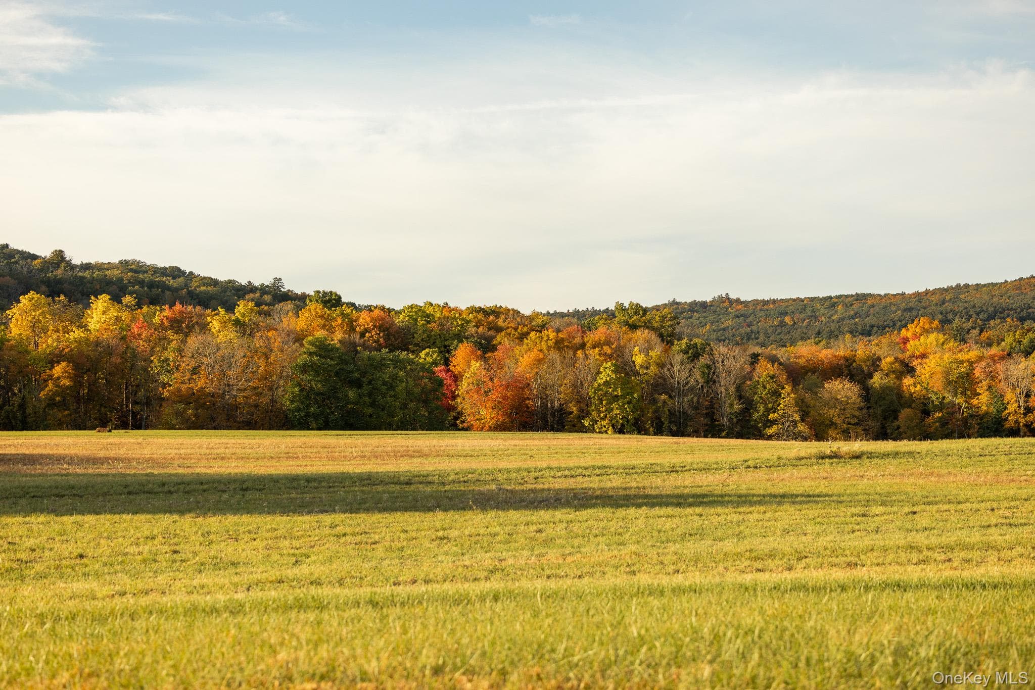 154 Pine Bush Road thumbnail 10