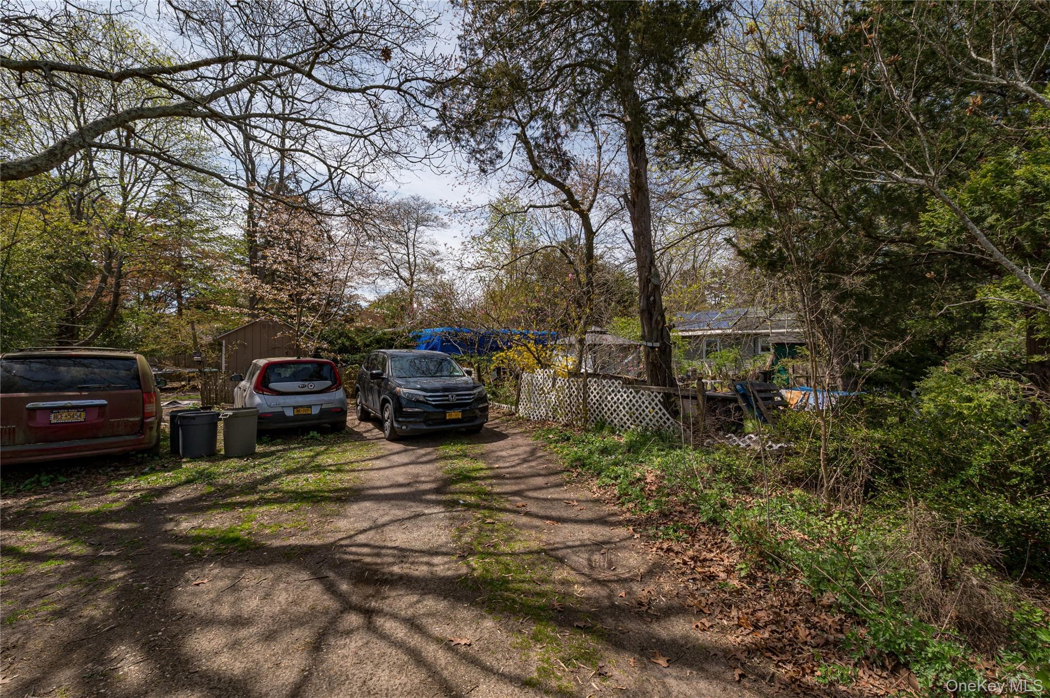 33 Locust Avenue Unit: 33 & 29 thumbnail 7