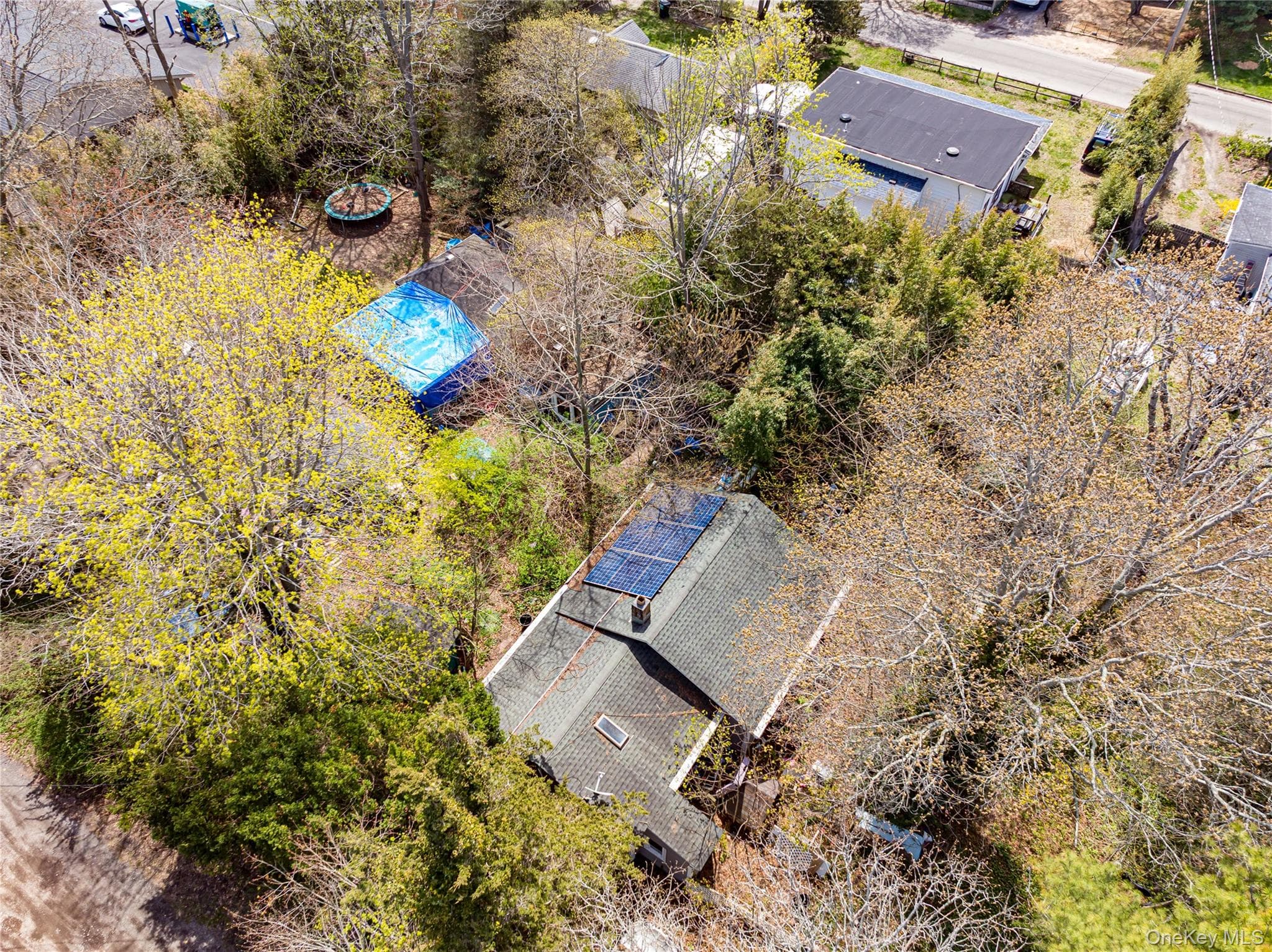 33 Locust Avenue Unit: 33 & 29 thumbnail 3