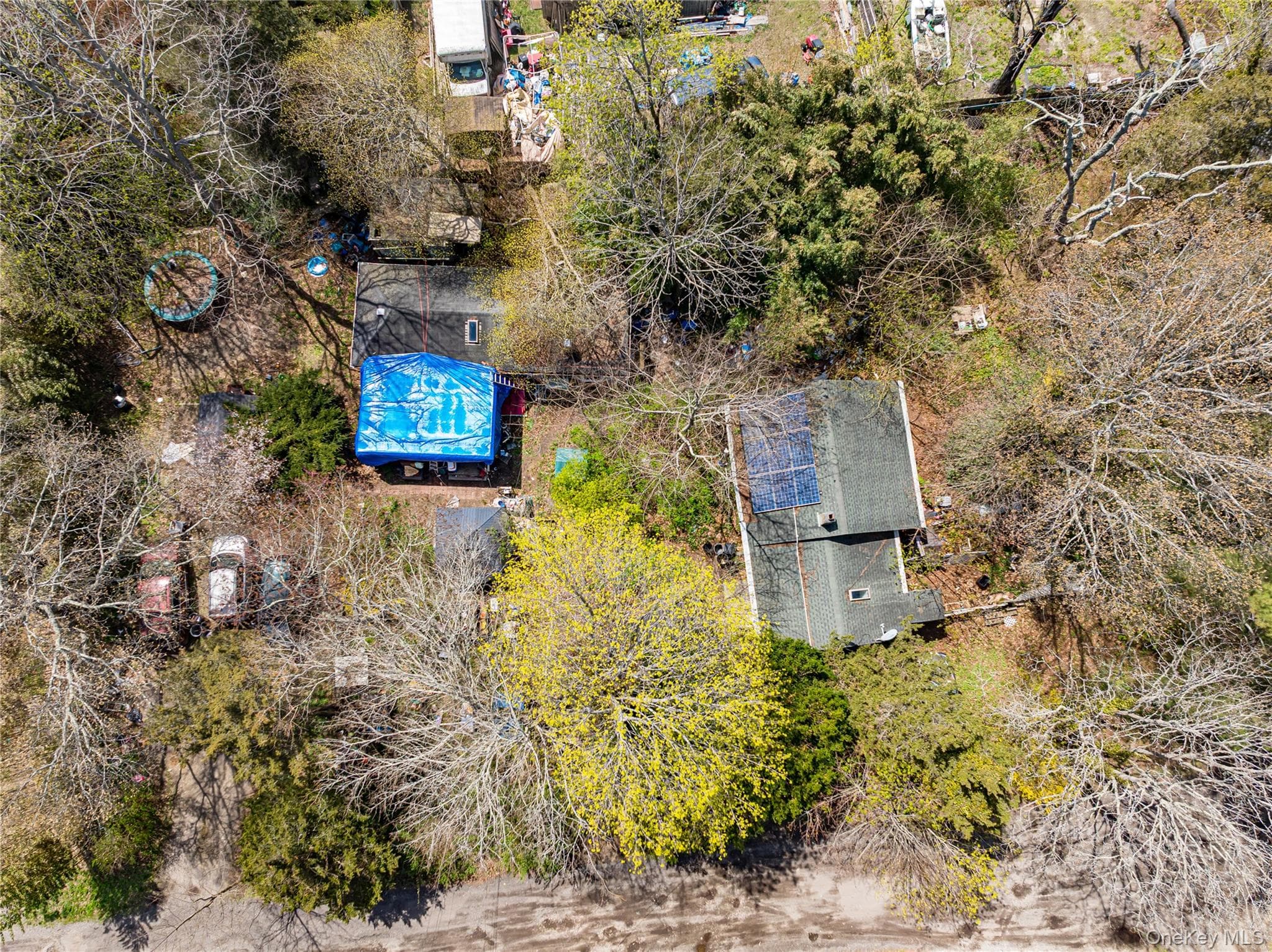 33 Locust Avenue Unit: 33 & 29 thumbnail 14