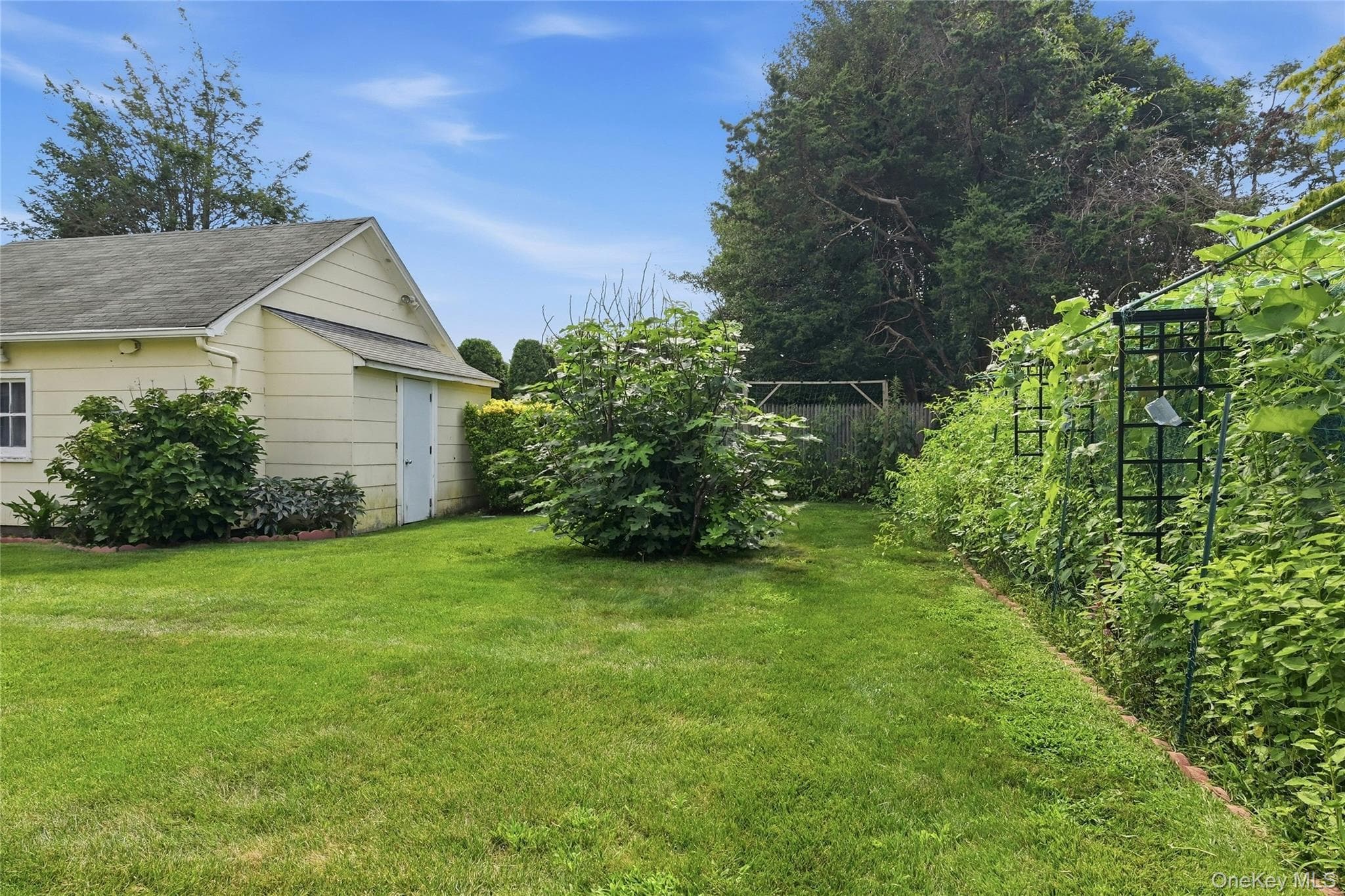 148 Canterbury Road thumbnail 14