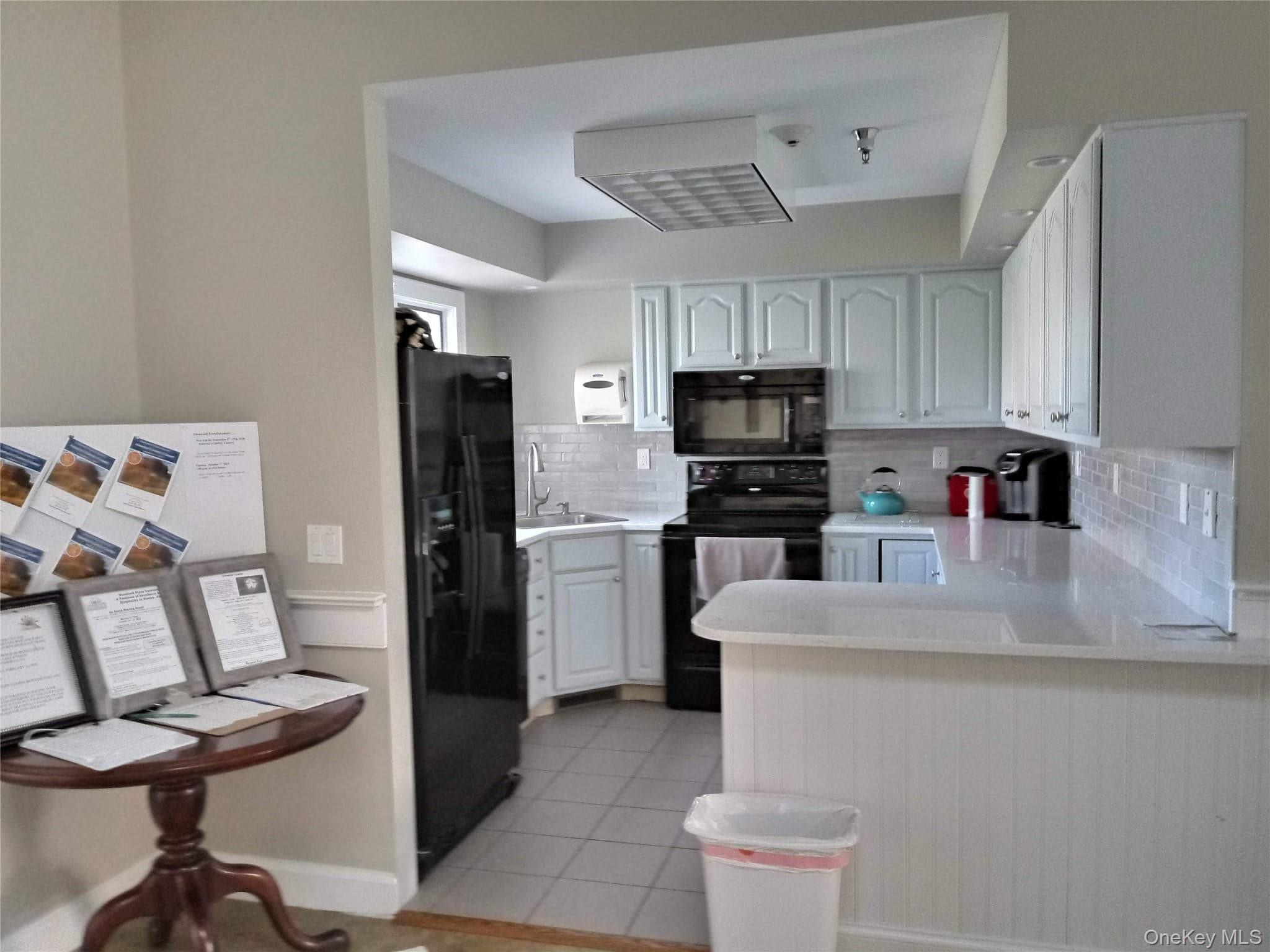 1661 Old Country Road Unit: 539 thumbnail 24