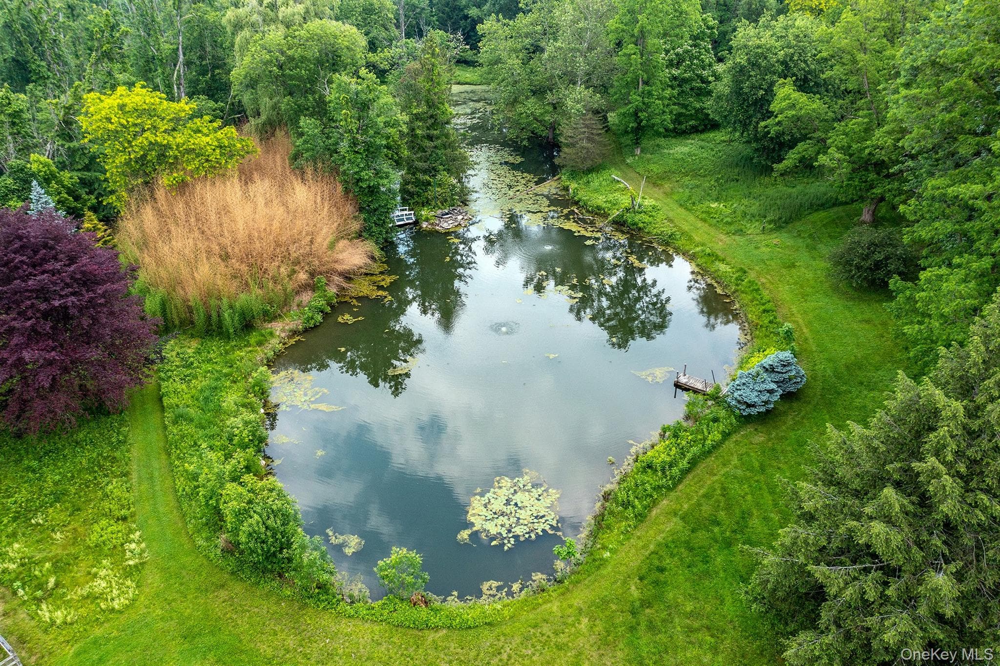 202 Buckwheat Bridge Rd thumbnail 42