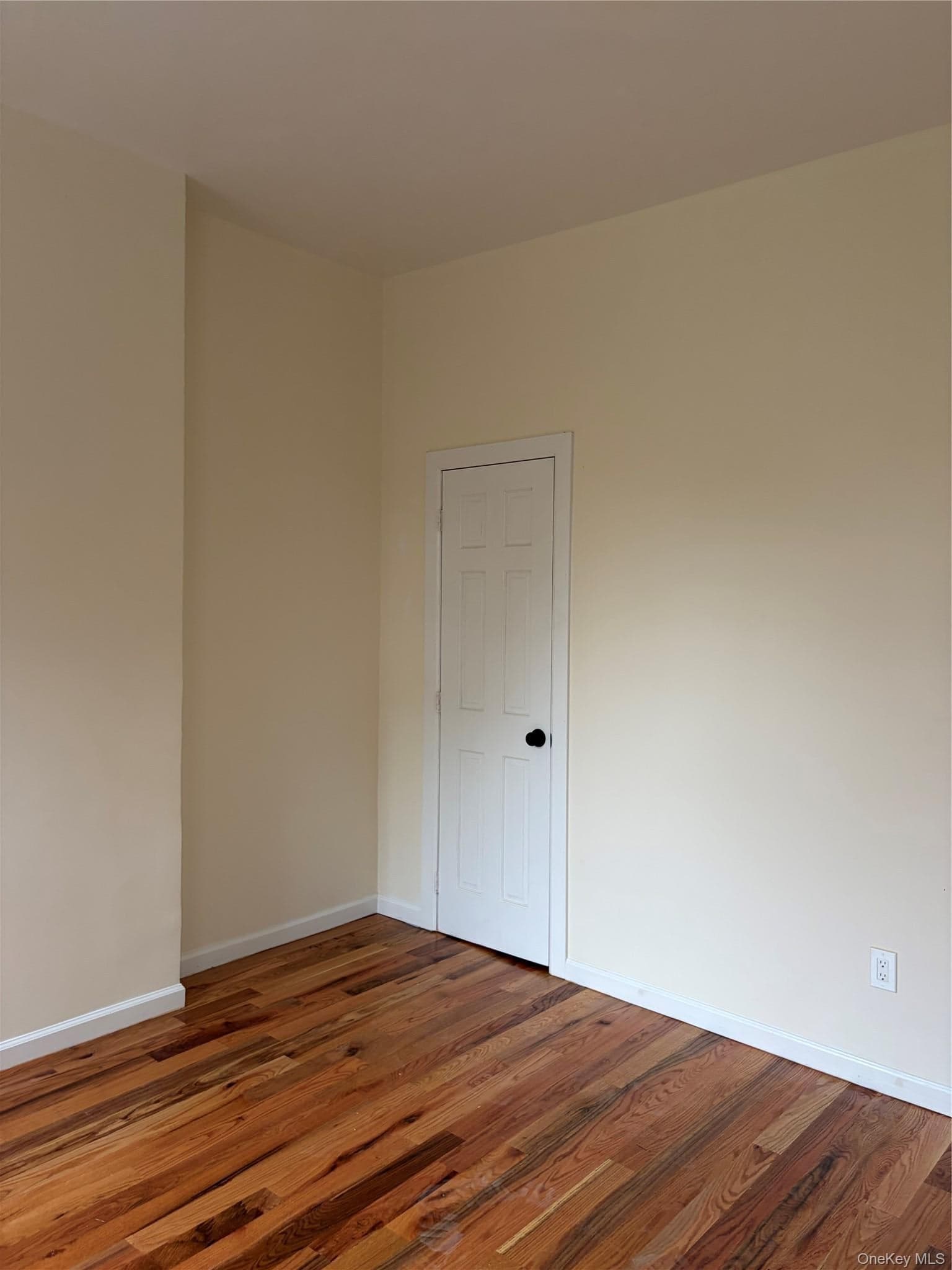 408 Van Siclen Avenue thumbnail 10