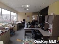 233 E Shore Road Unit: 204 thumbnail 7