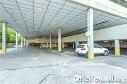 233 E Shore Road Unit: 204 thumbnail 4