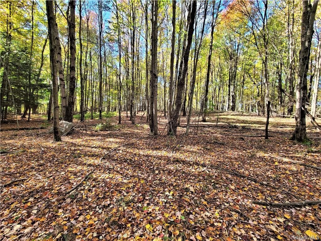 Lot 5.4 Kaufman Road thumbnail 41