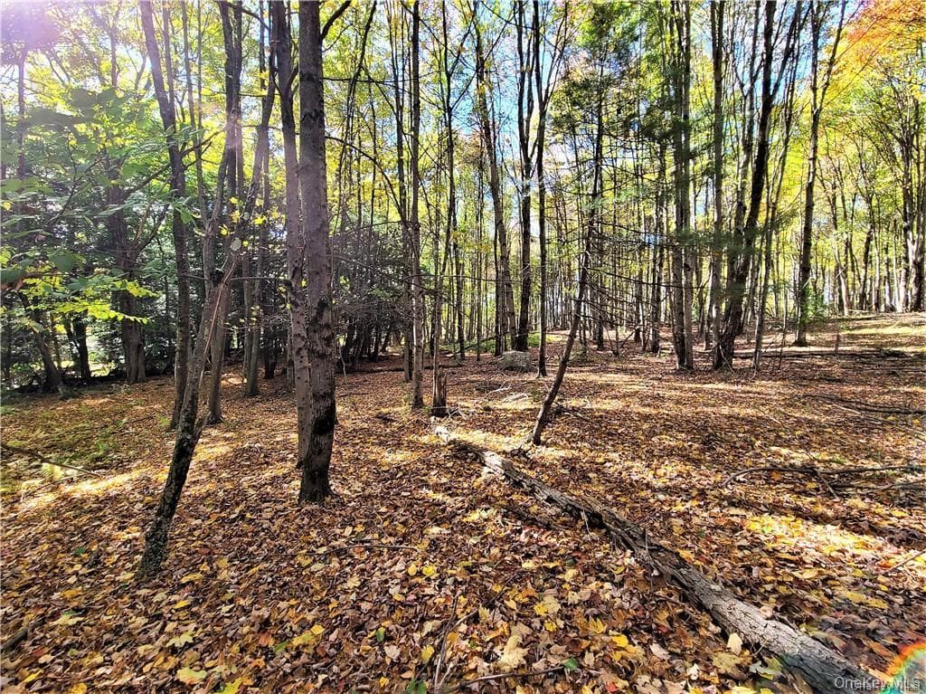 Lot 5.4 Kaufman Road thumbnail 40