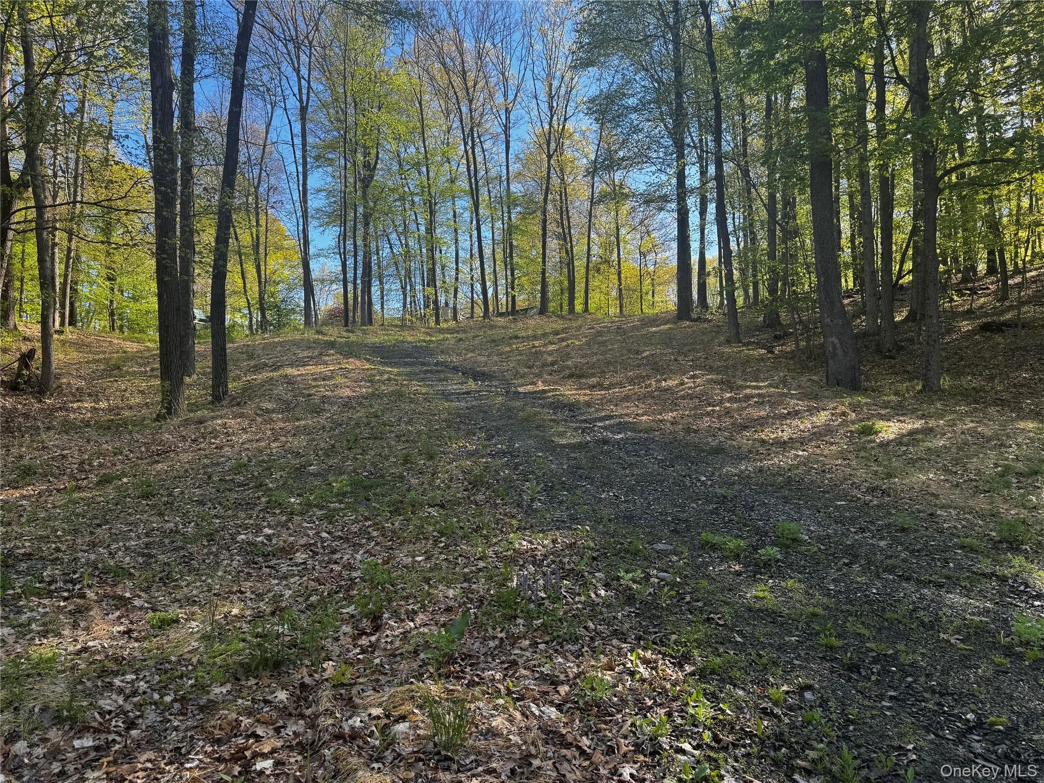 Hall Hill Road thumbnail 4