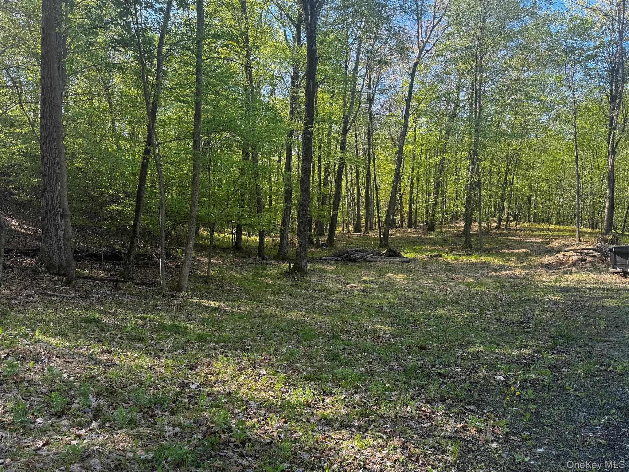 Hall Hill Road thumbnail 8