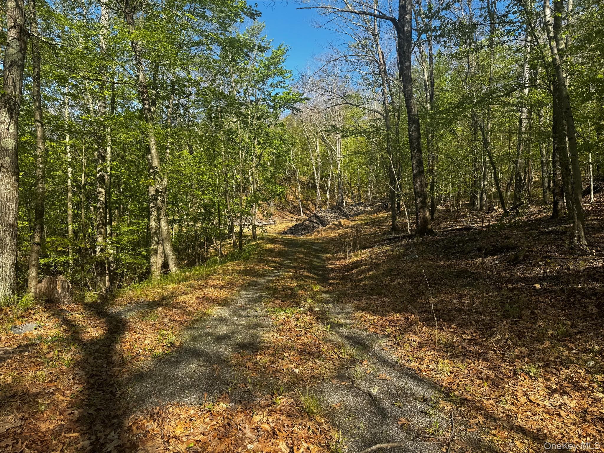 Hall Hill Road thumbnail 7