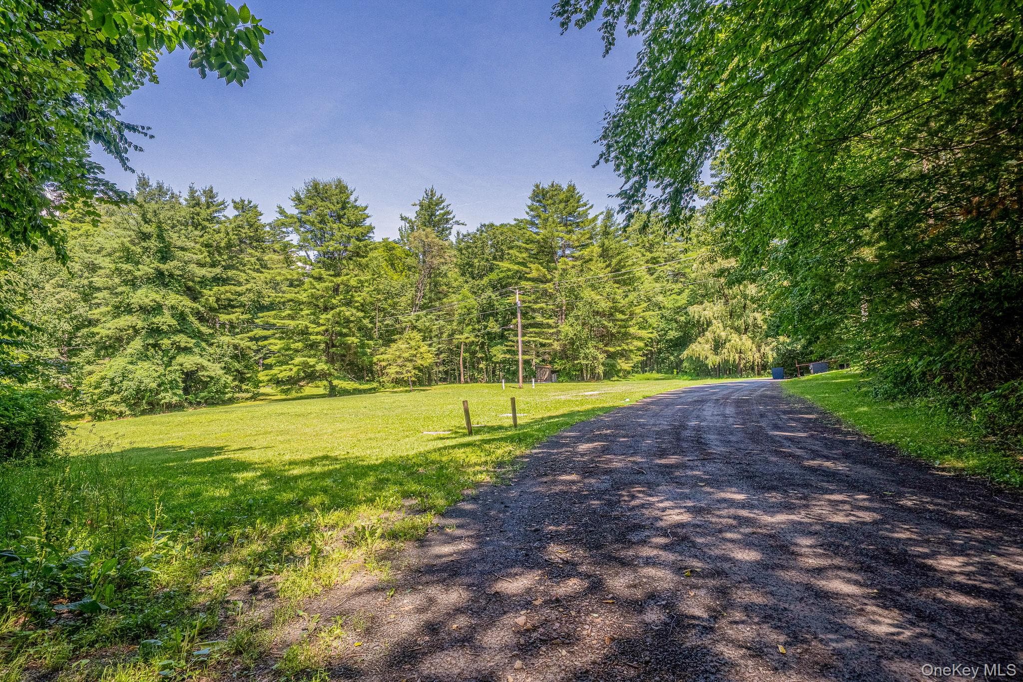 4 White Birch Lane thumbnail 45