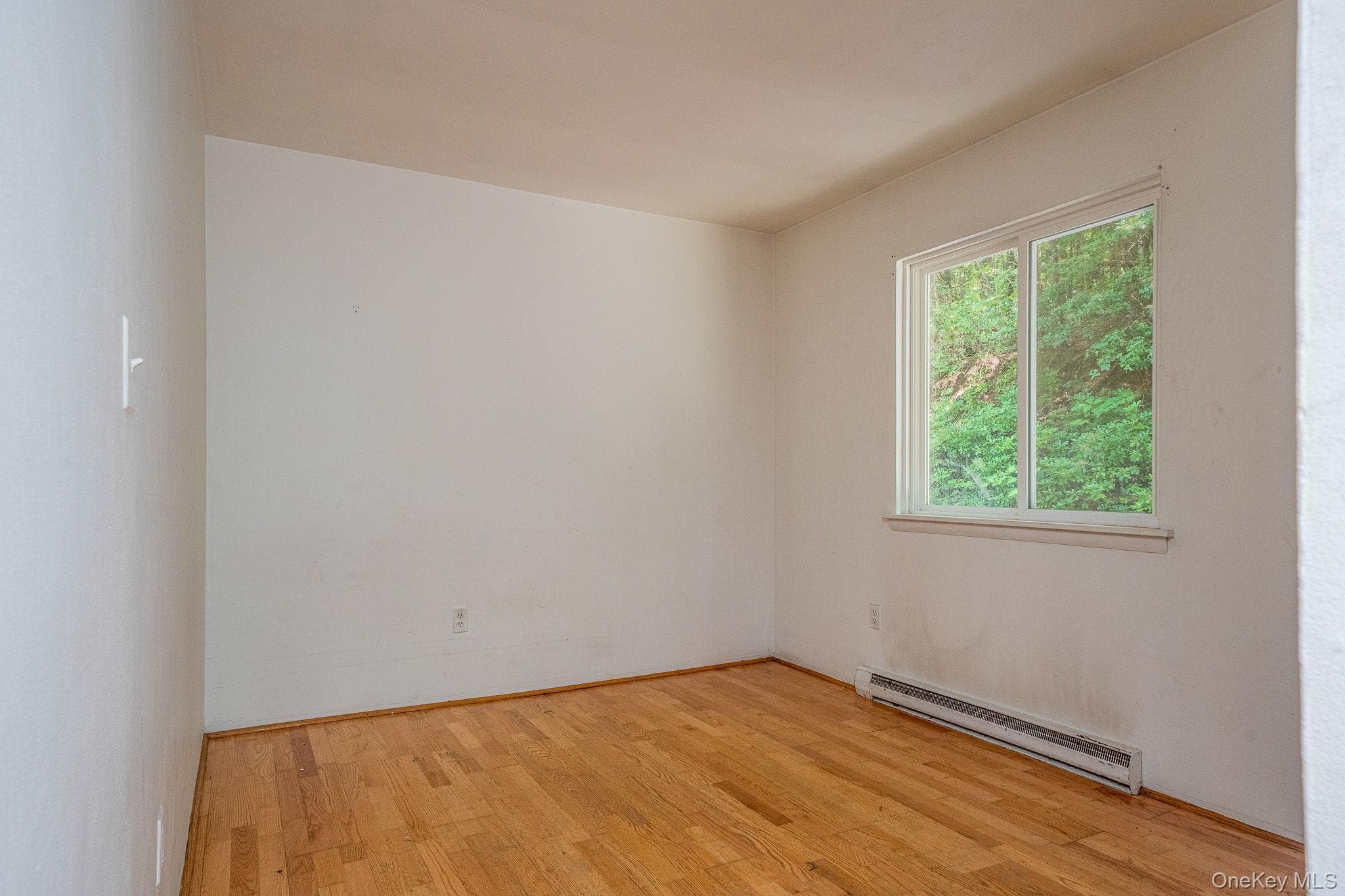 4 White Birch Lane thumbnail 14