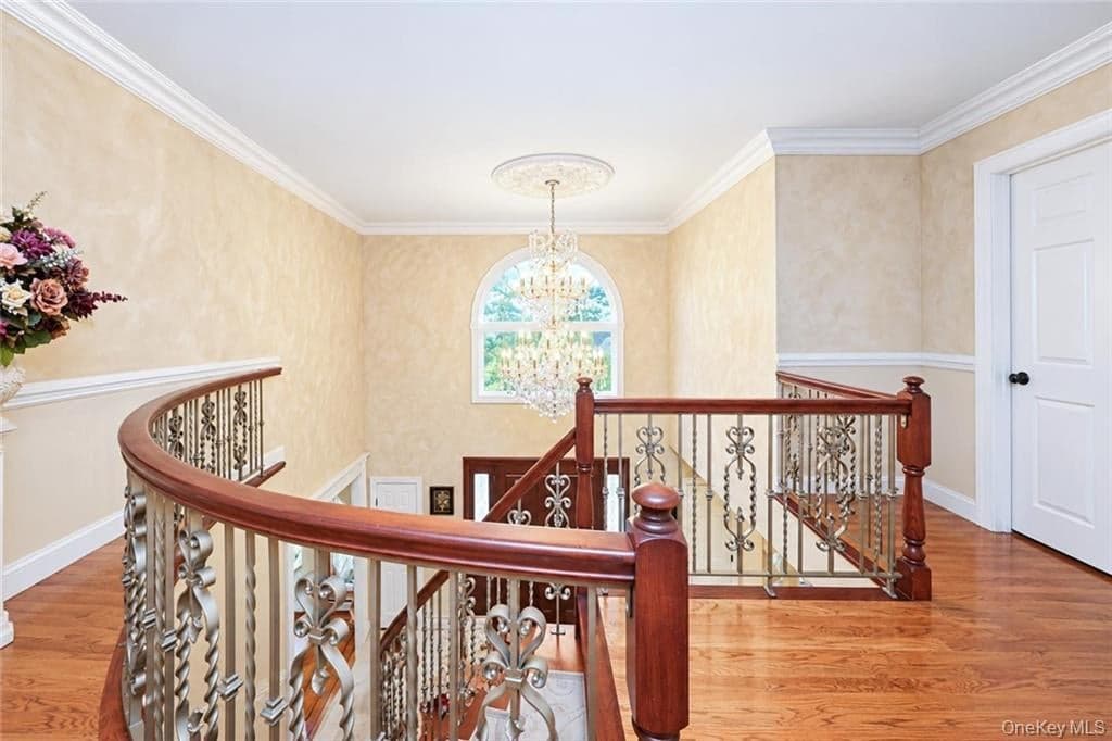 78 Eleanor Street thumbnail 29