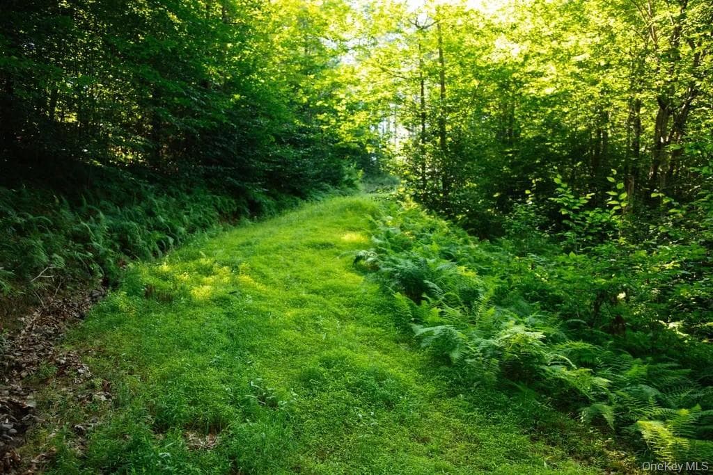 Lot 2 Woodstone Trail thumbnail 4