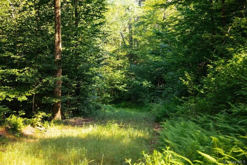 Lot 2 Woodstone Trail thumbnail 5