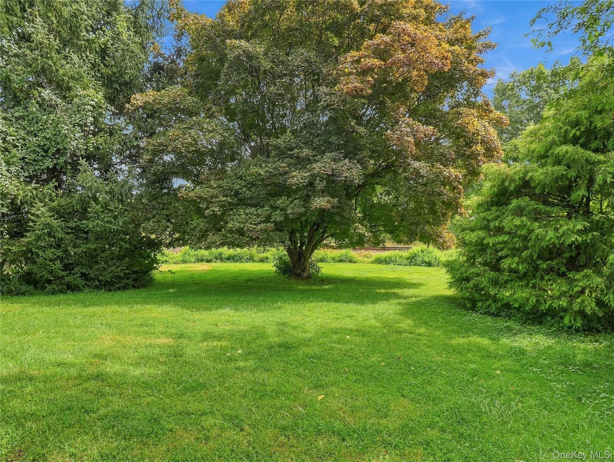 143 S Harrison Avenue thumbnail 35