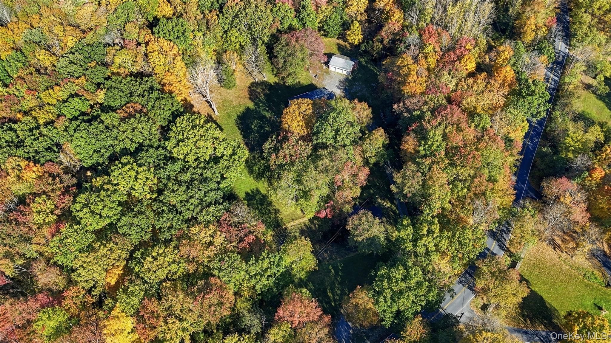 199 Lauer Road thumbnail 38