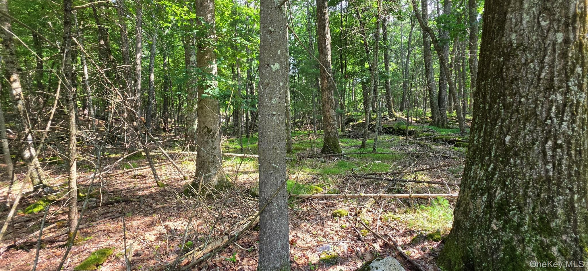 Lot 34.25 Lakeview Drive Road thumbnail 19