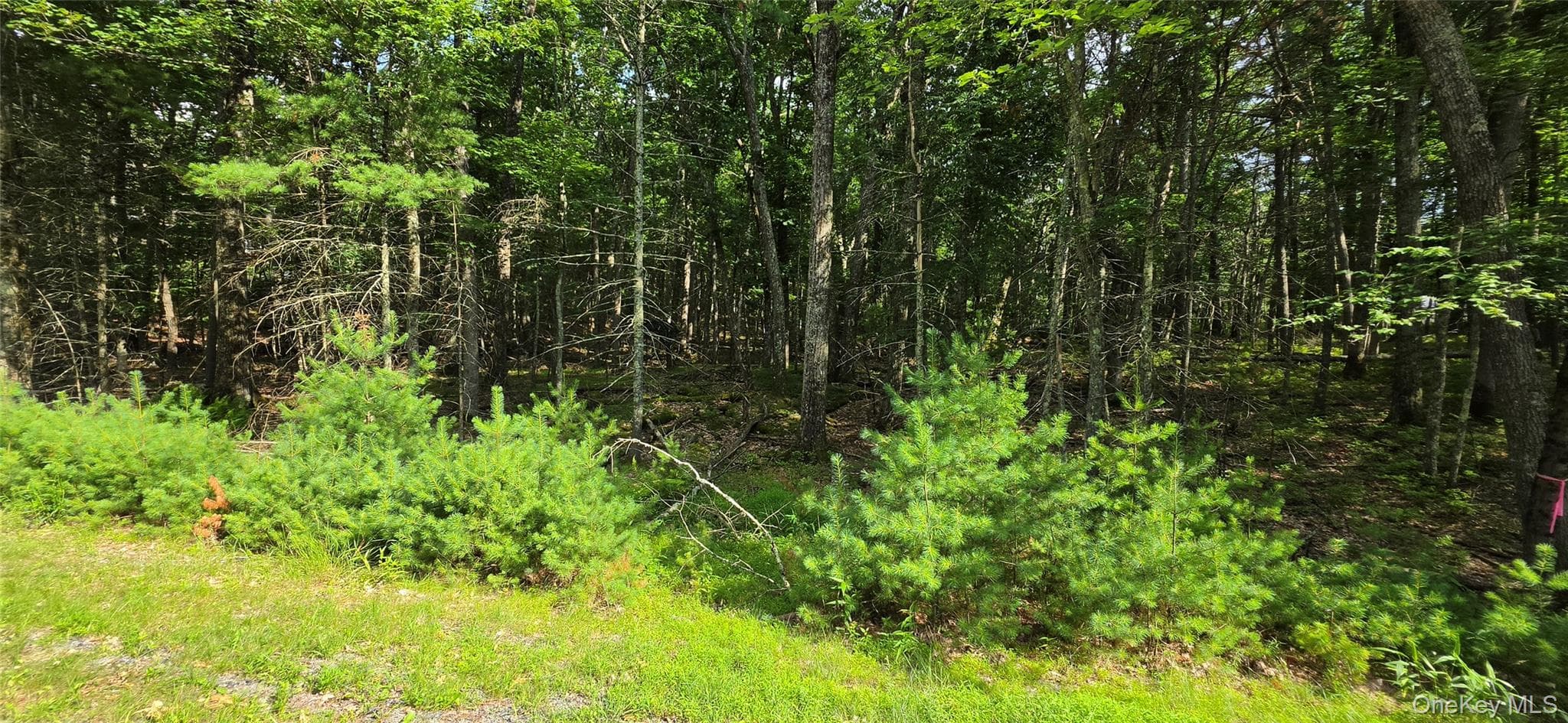 Lot 34.25 Lakeview Drive Road thumbnail 25